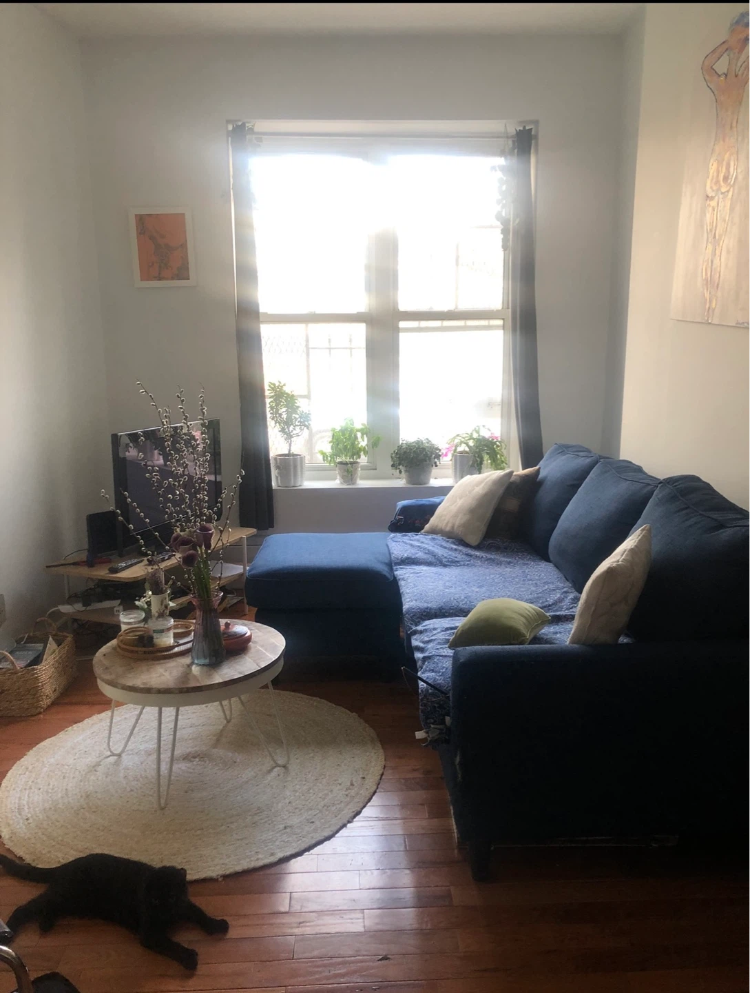 Navy Blue Sectional Sofa with Chaise and memory foam pullout
