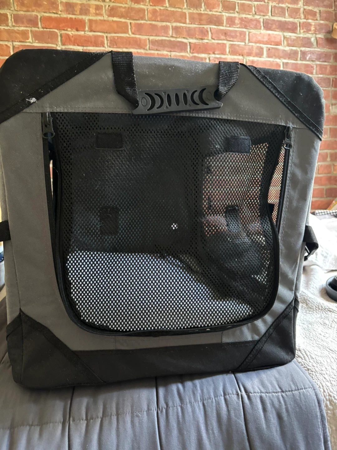 Collapsible Dog Crate - photo 2