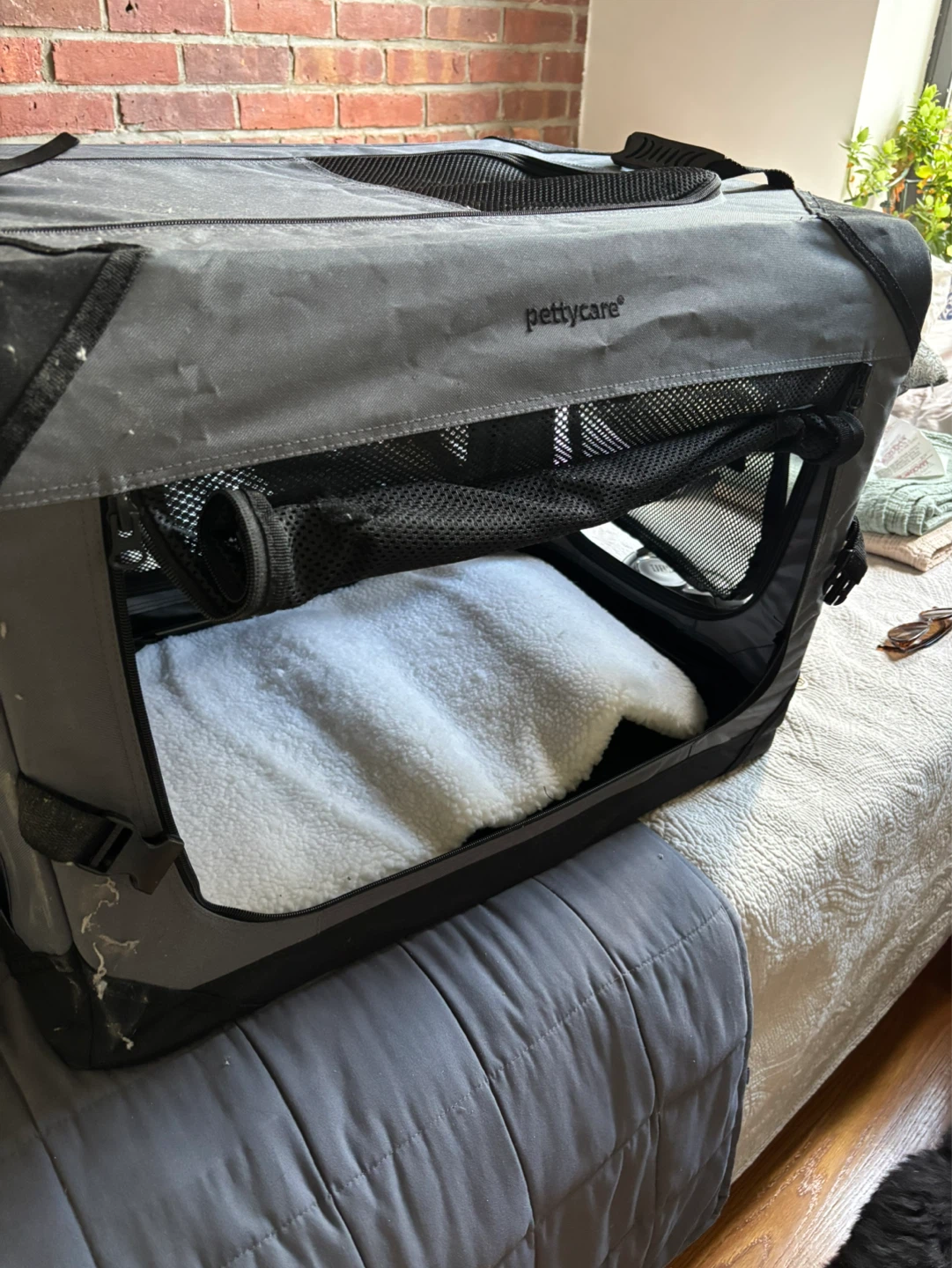 Collapsible Dog Crate