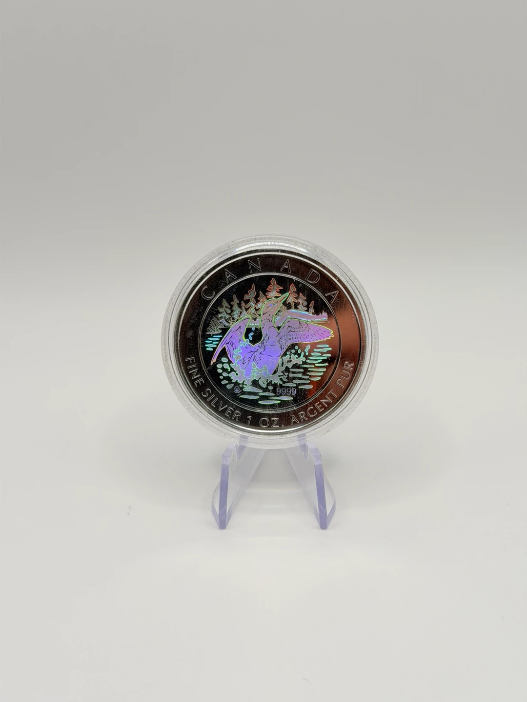 1 oz .9999 Fine Silver Hologram Canada Goose