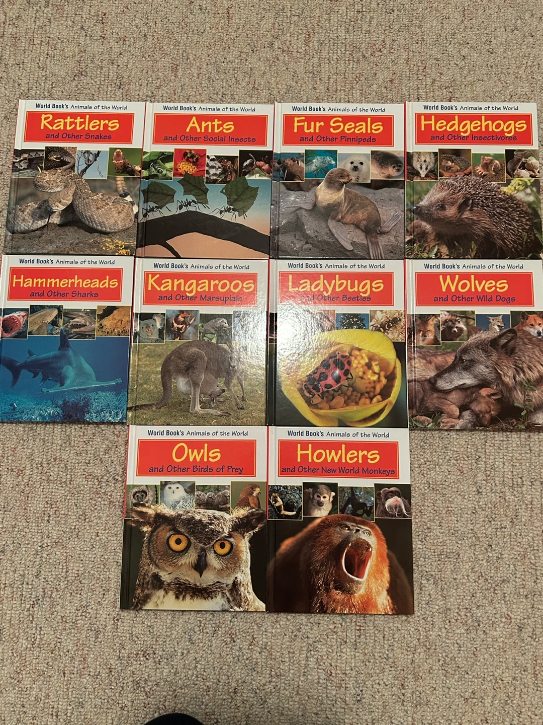 World Book’s World of Animals set ⚽️ - photo 2