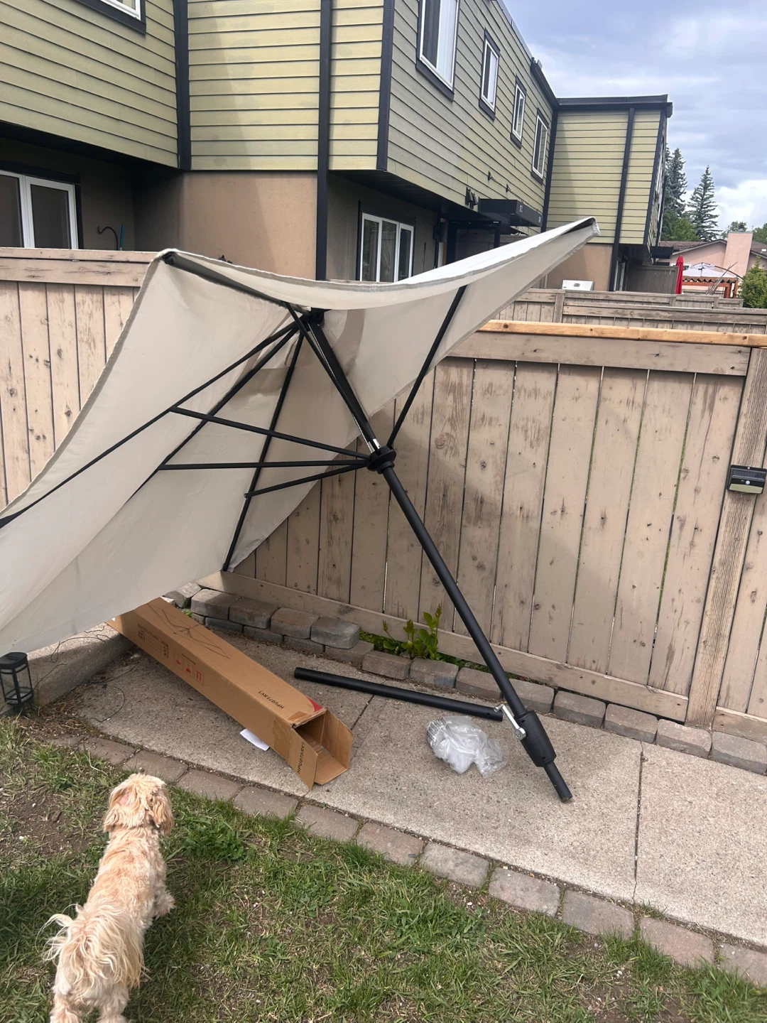 Outdoor Patio Umbrella - Beige - photo 4