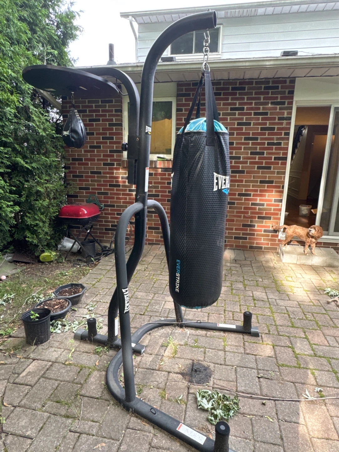 Everlast Punching Bag Stand with Speed Bag - photo 3