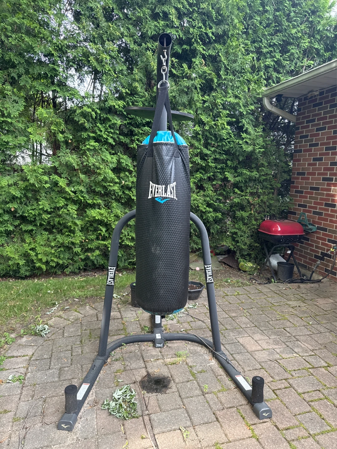 Everlast Punching Bag Stand with Speed Bag - photo 2