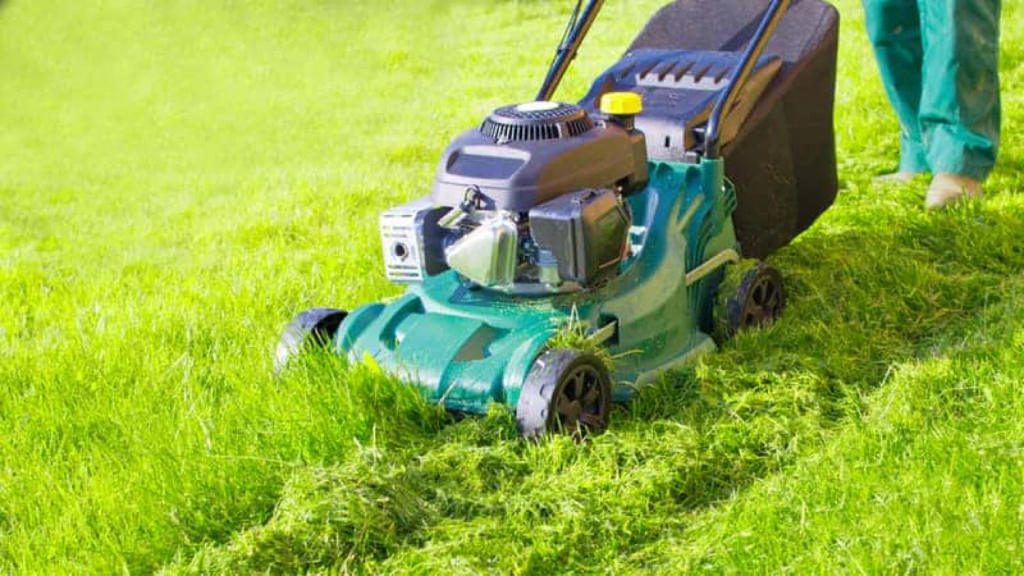 Lawn mower 🏎️⚽️