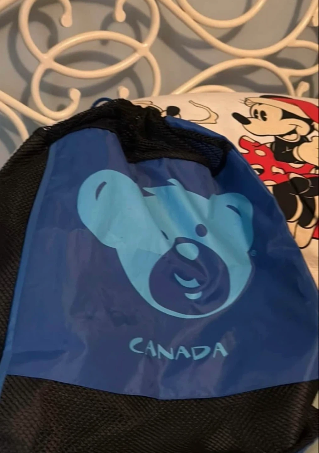 Build a bear workshop bag  it’s free