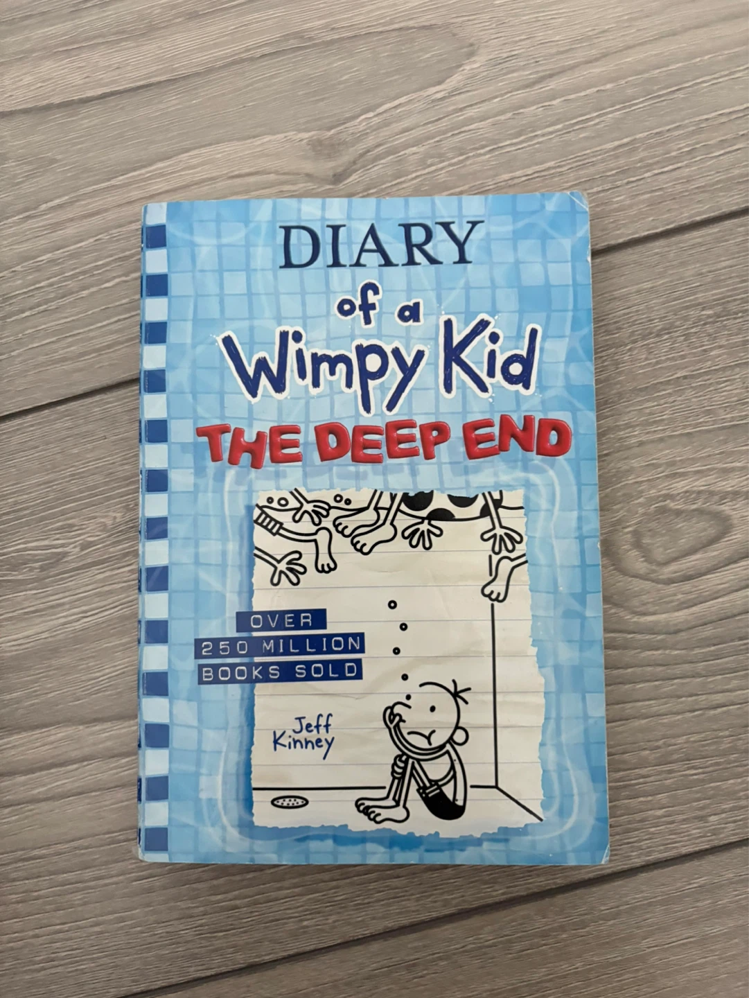 Diary of a Wimpy Kid: The Deep End Book⚽️