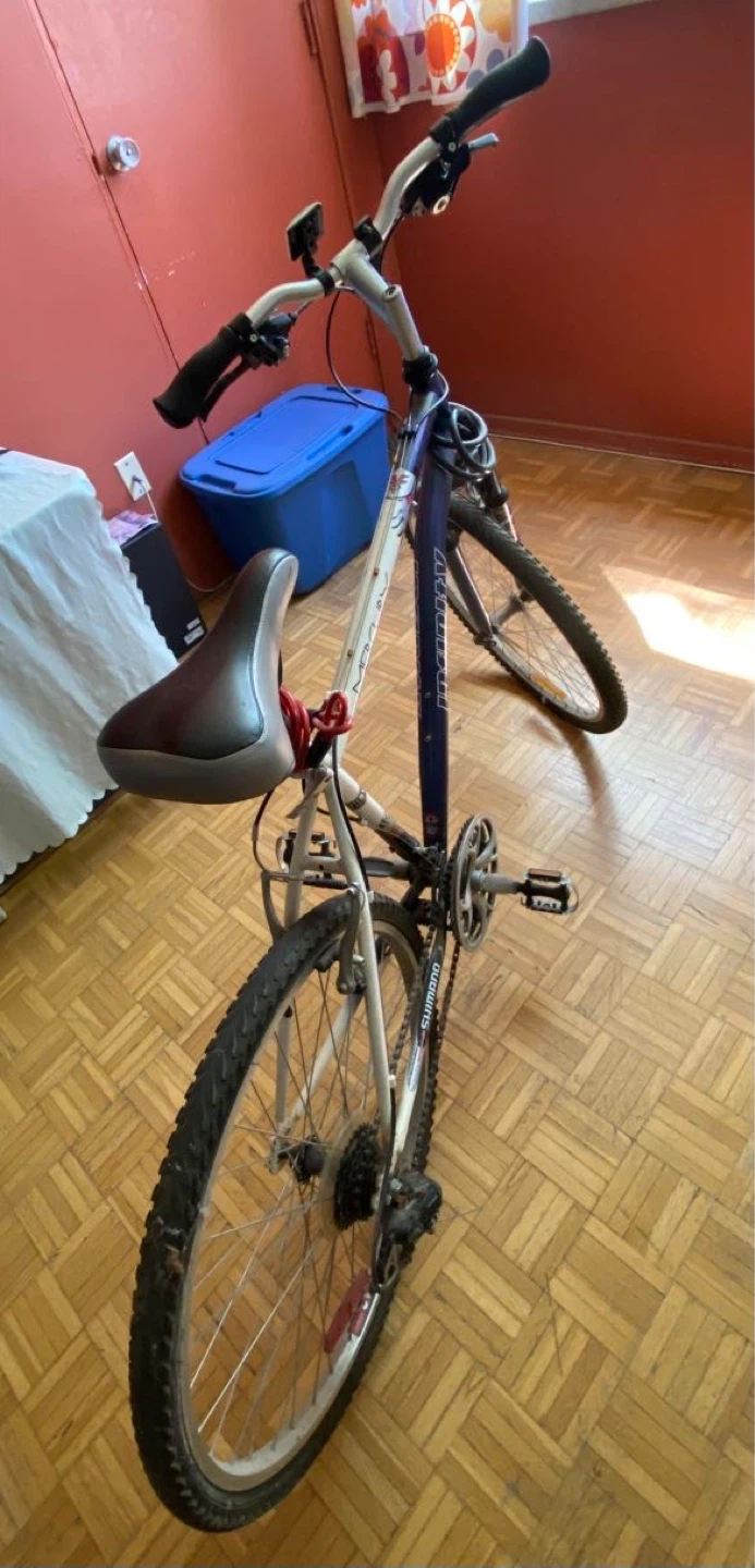 Bicycle