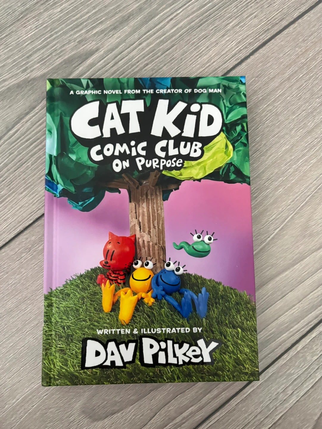 Cat Kid Comic Club: On Purpose Graphic Novel by Dav Pilkey⚽️
