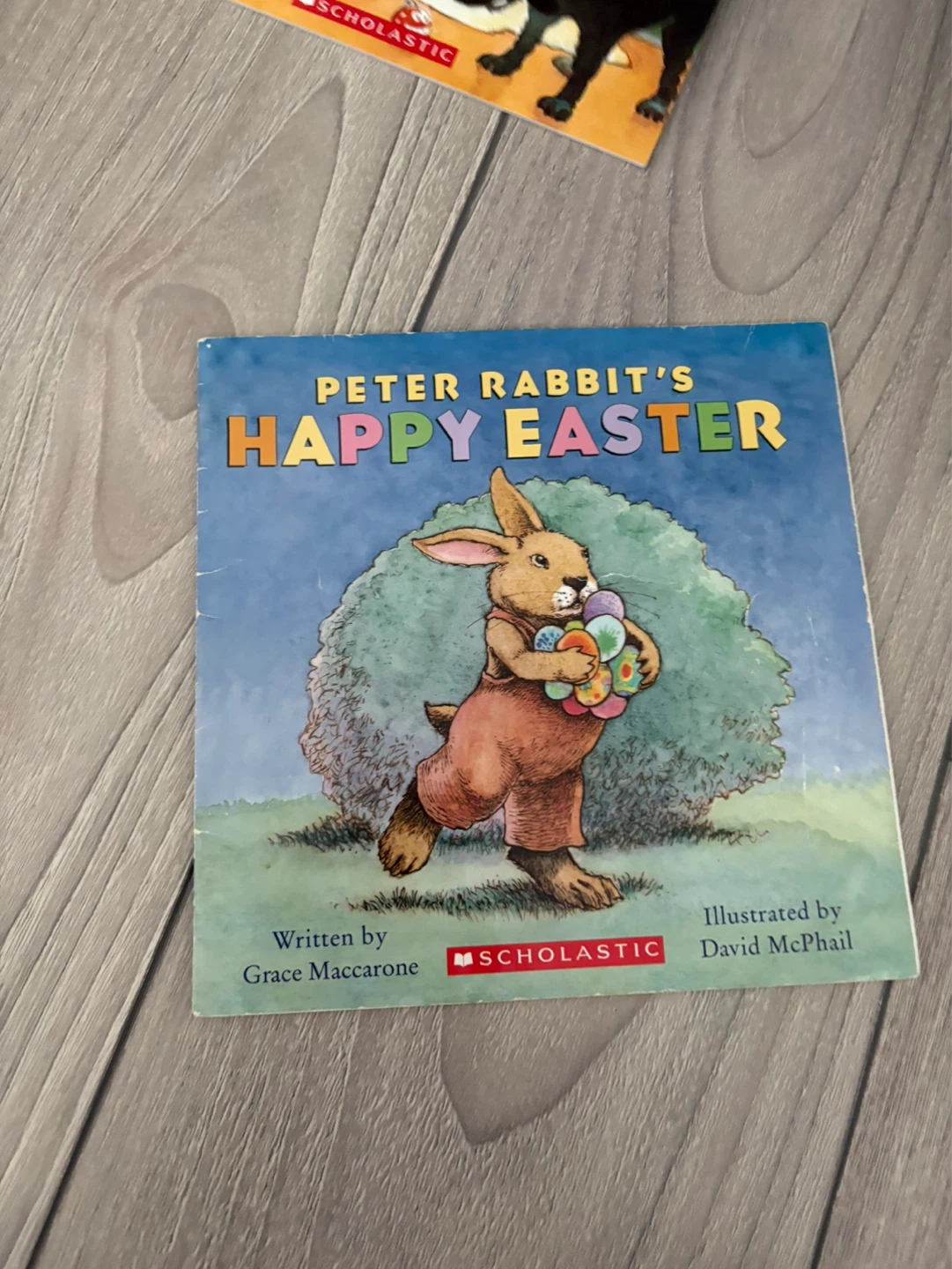 Peter Rabbit's Happy Easter Book⚽️