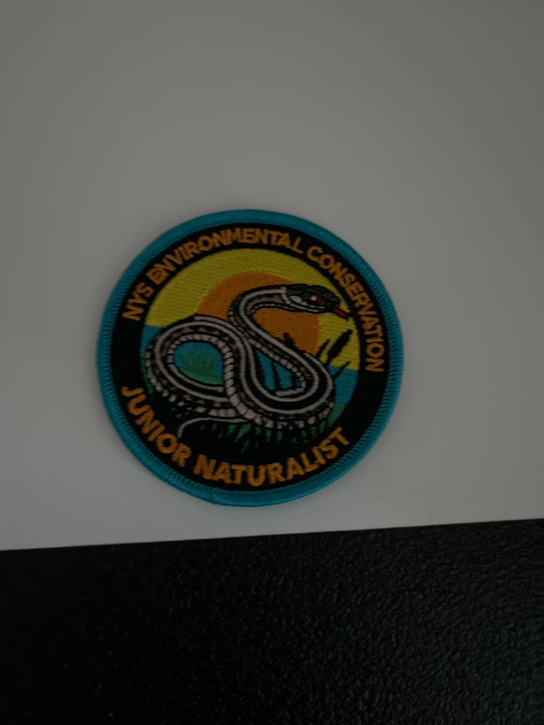 ⚽️NYS Environmental Conservation Junior Naturalist Patch