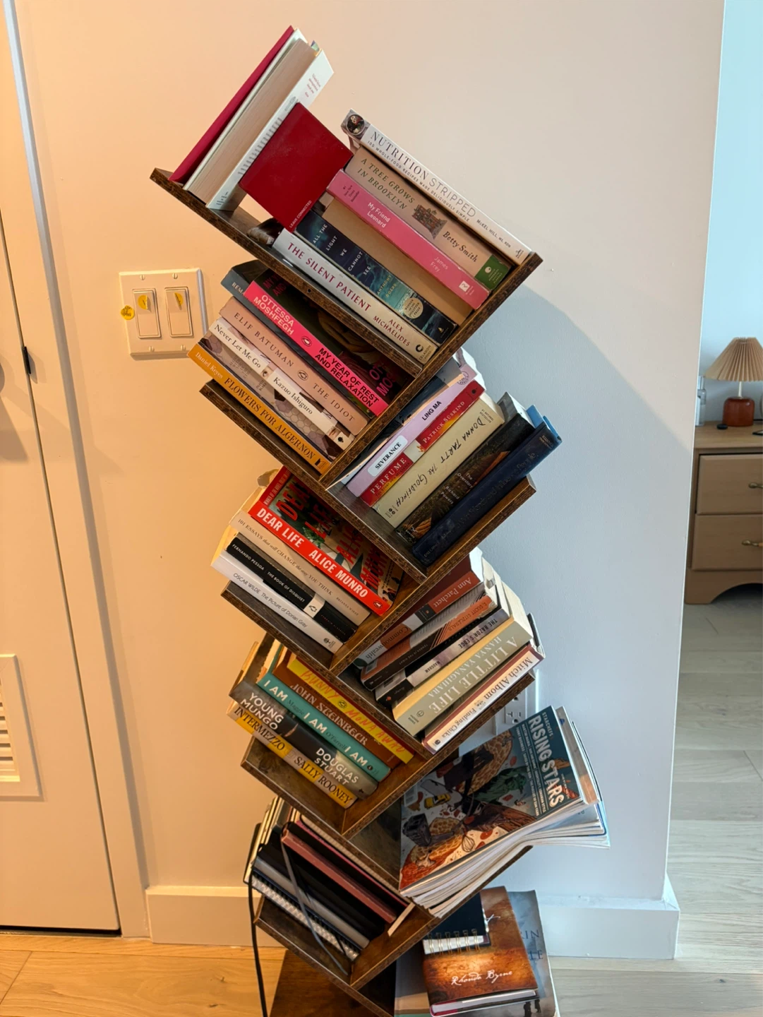 Modern Zigzag Bookshelf