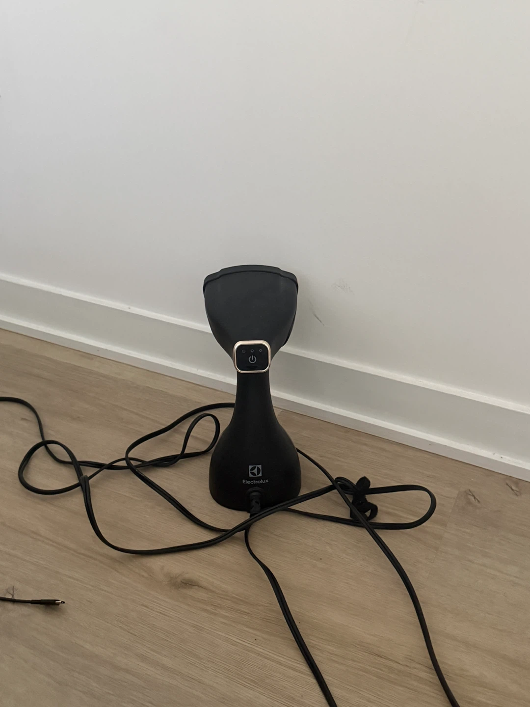 Electrolux Handheld Steamer
