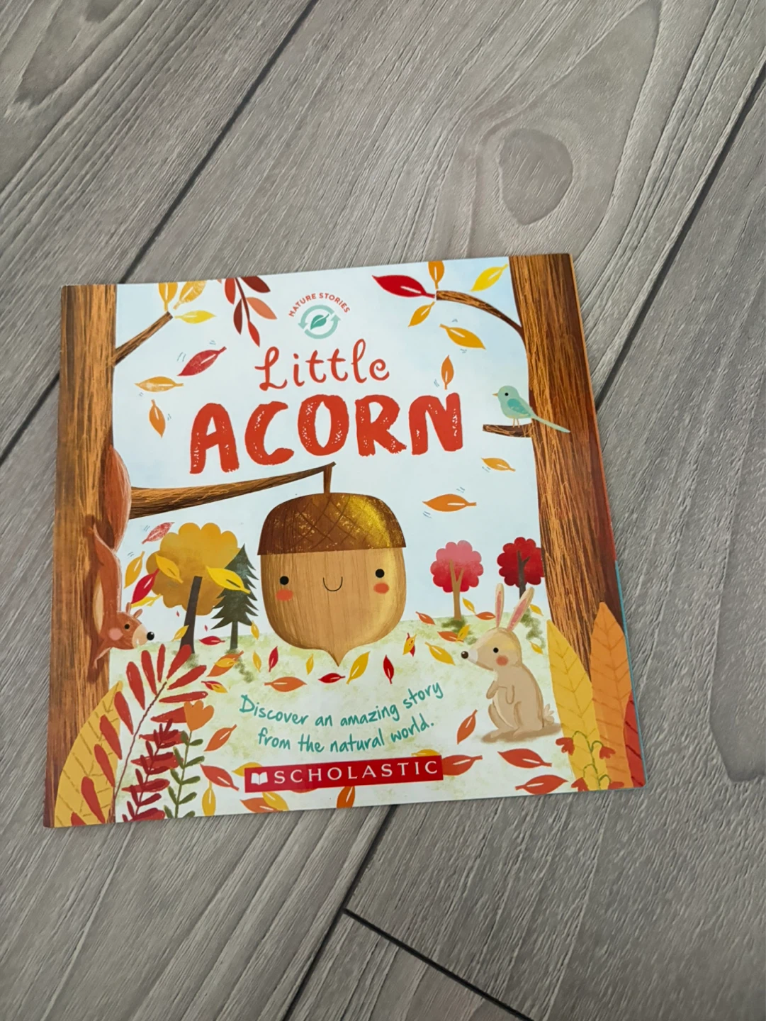 Little Acorn Children's Book⚽️