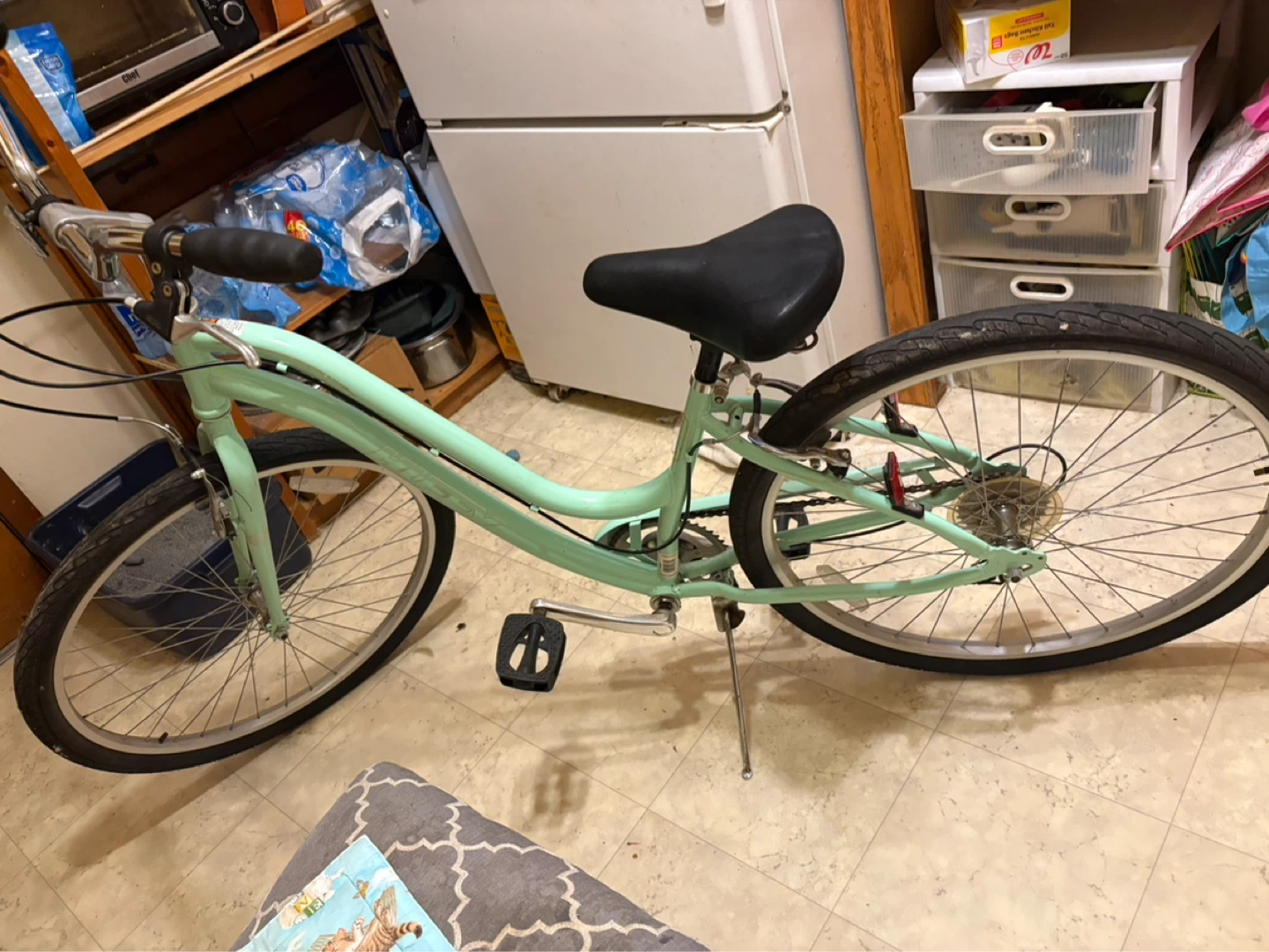 Mint Green Cruiser Bike