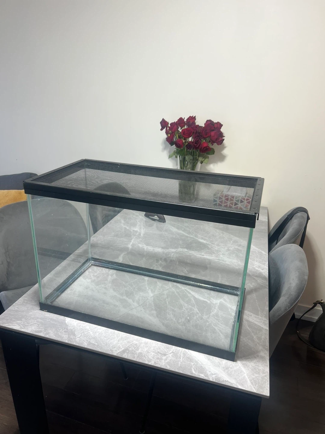 Glass terrarium with mesh lid 20 gallon
