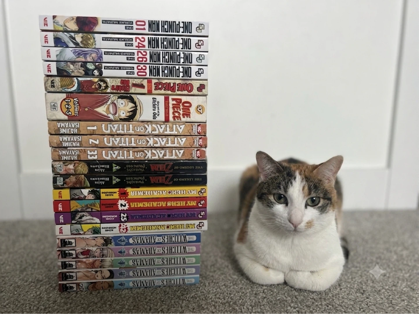Random Manga Haul
