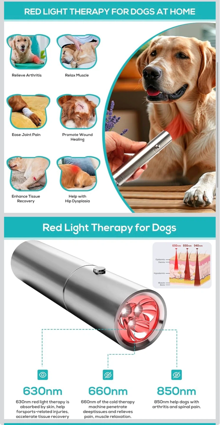 Red Light Therapy Device for Pets ⚽ - photo 3