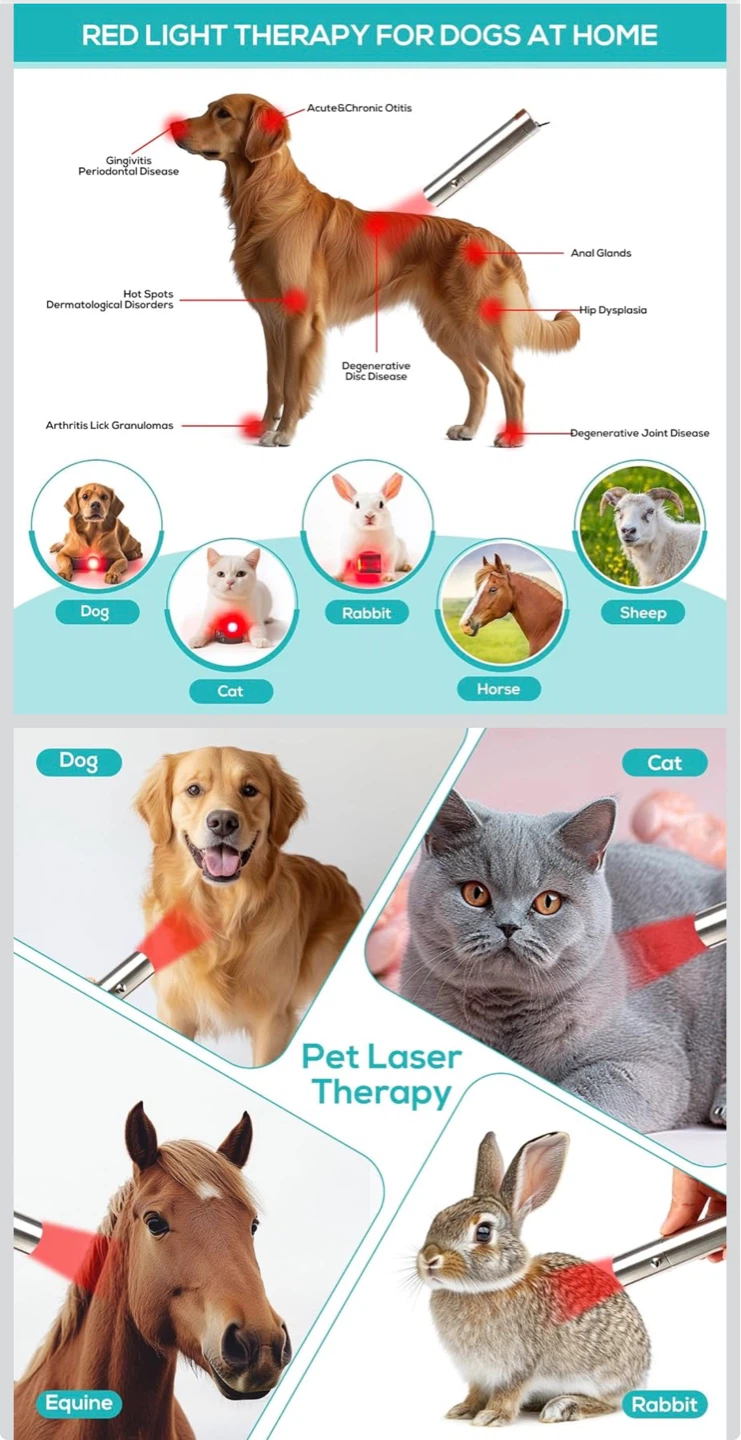 Red Light Therapy Device for Pets ⚽ - photo 4