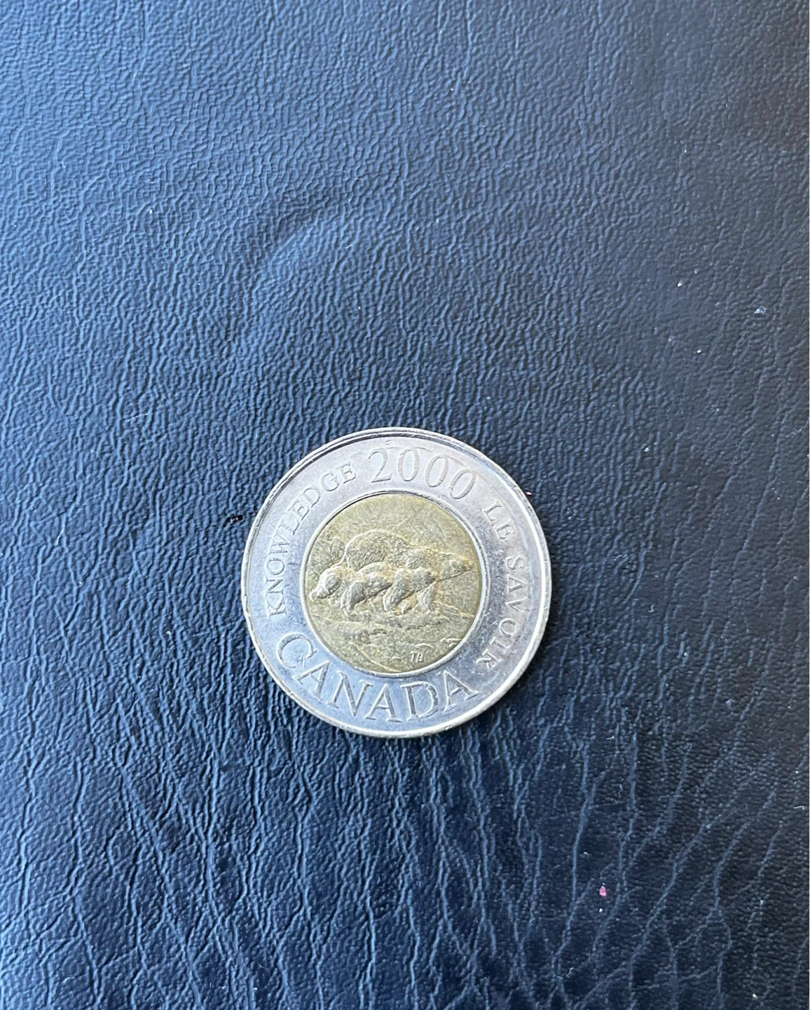 Three polar bears 2000 Canada Two Dollar Coin