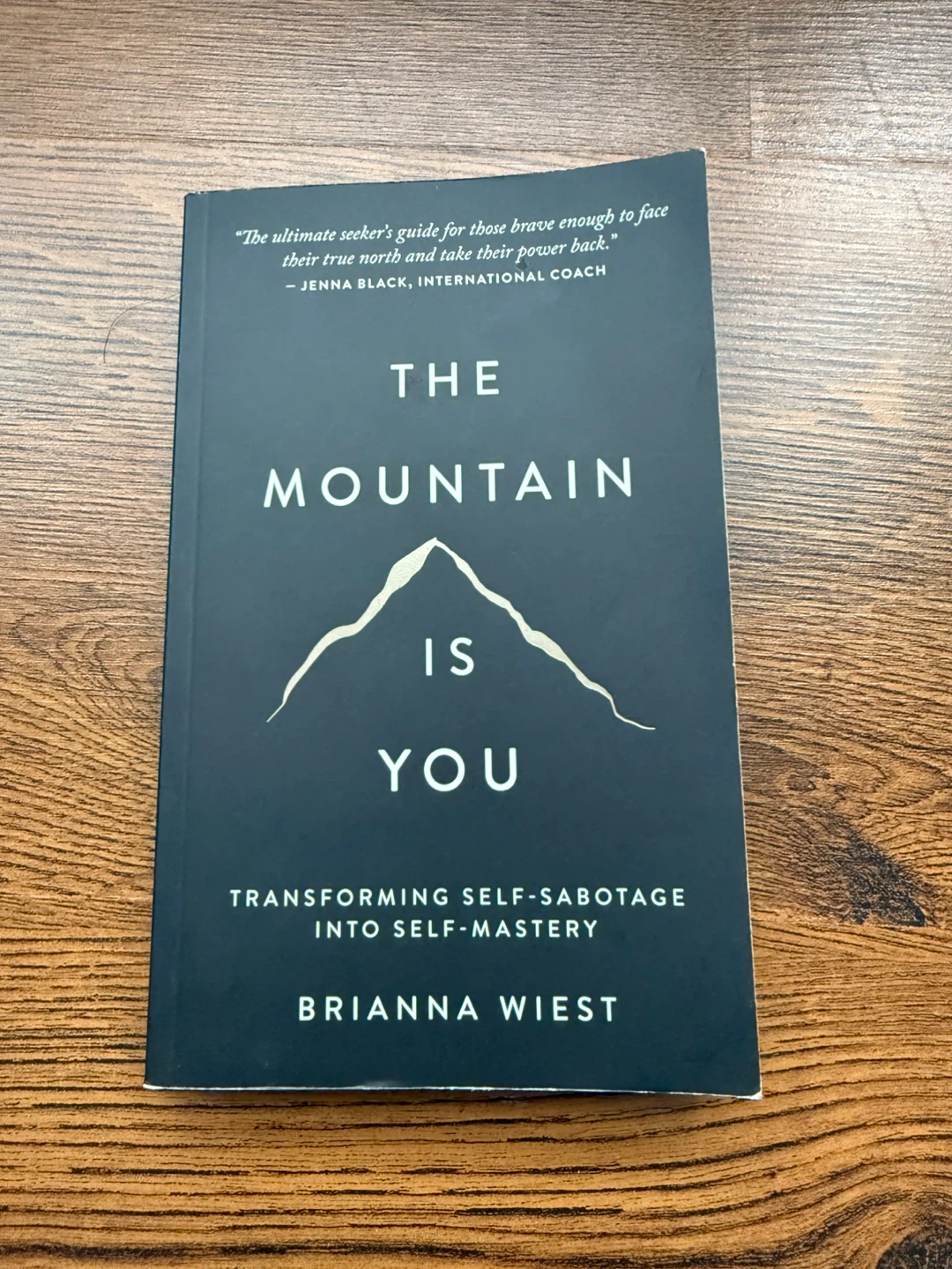 The Mountain Is You by Brianna Wiest