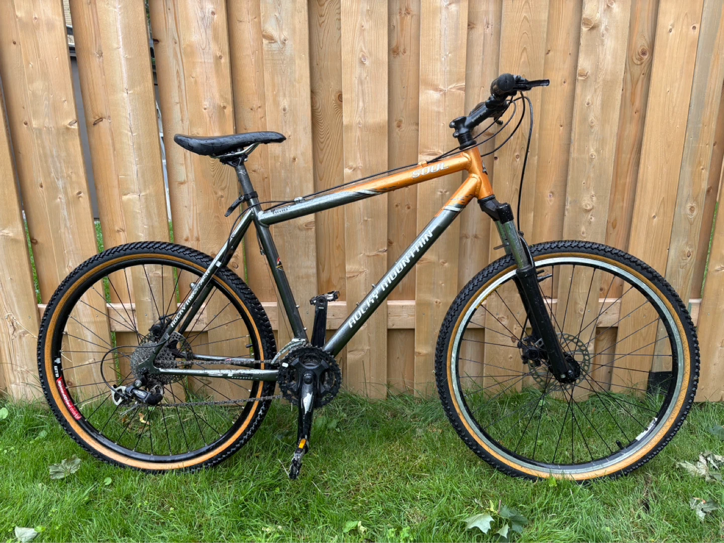 Rocky Mountain Soul Mountain Bike