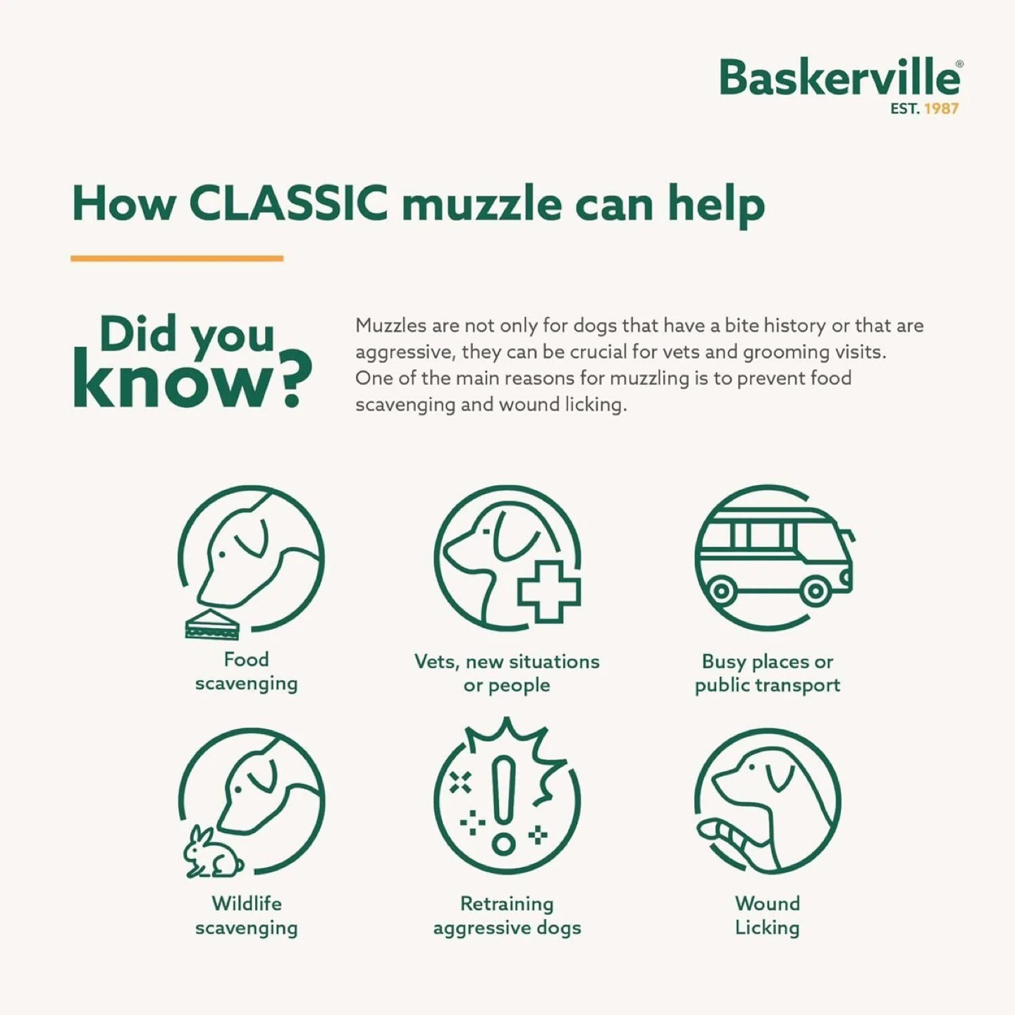 Baskerville Muzzle - photo 2
