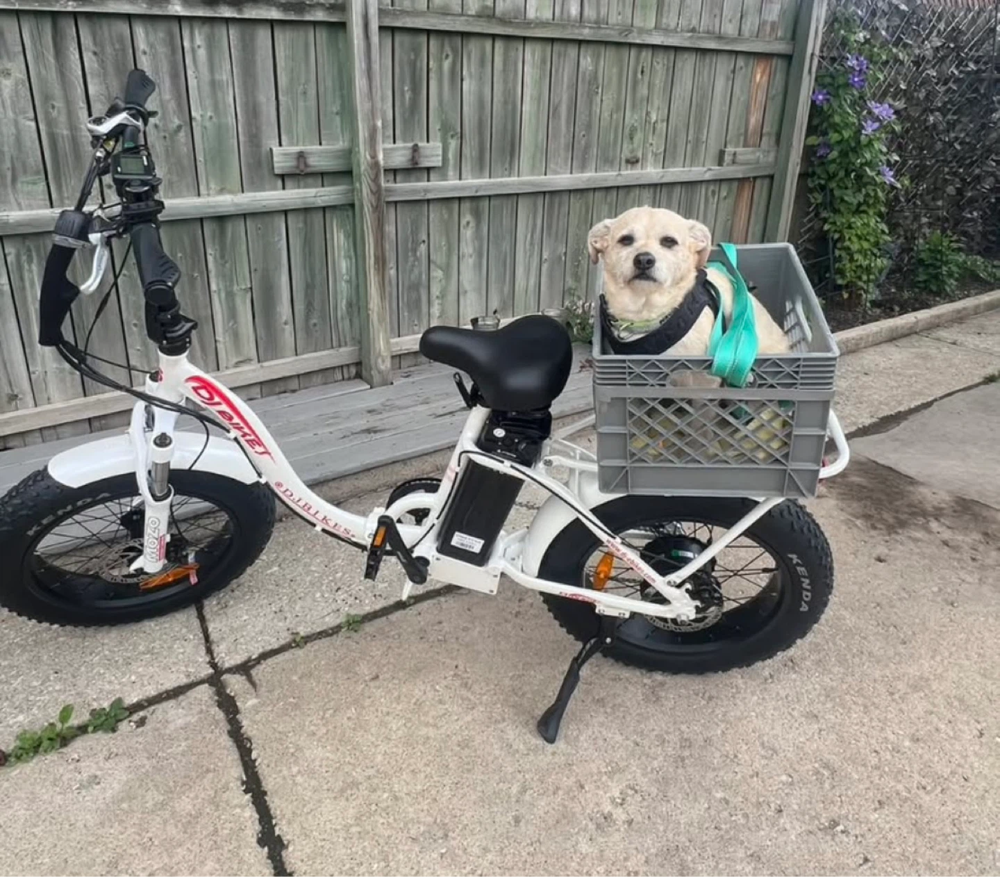 DJ BIKES White Fat Tire Electric Bike