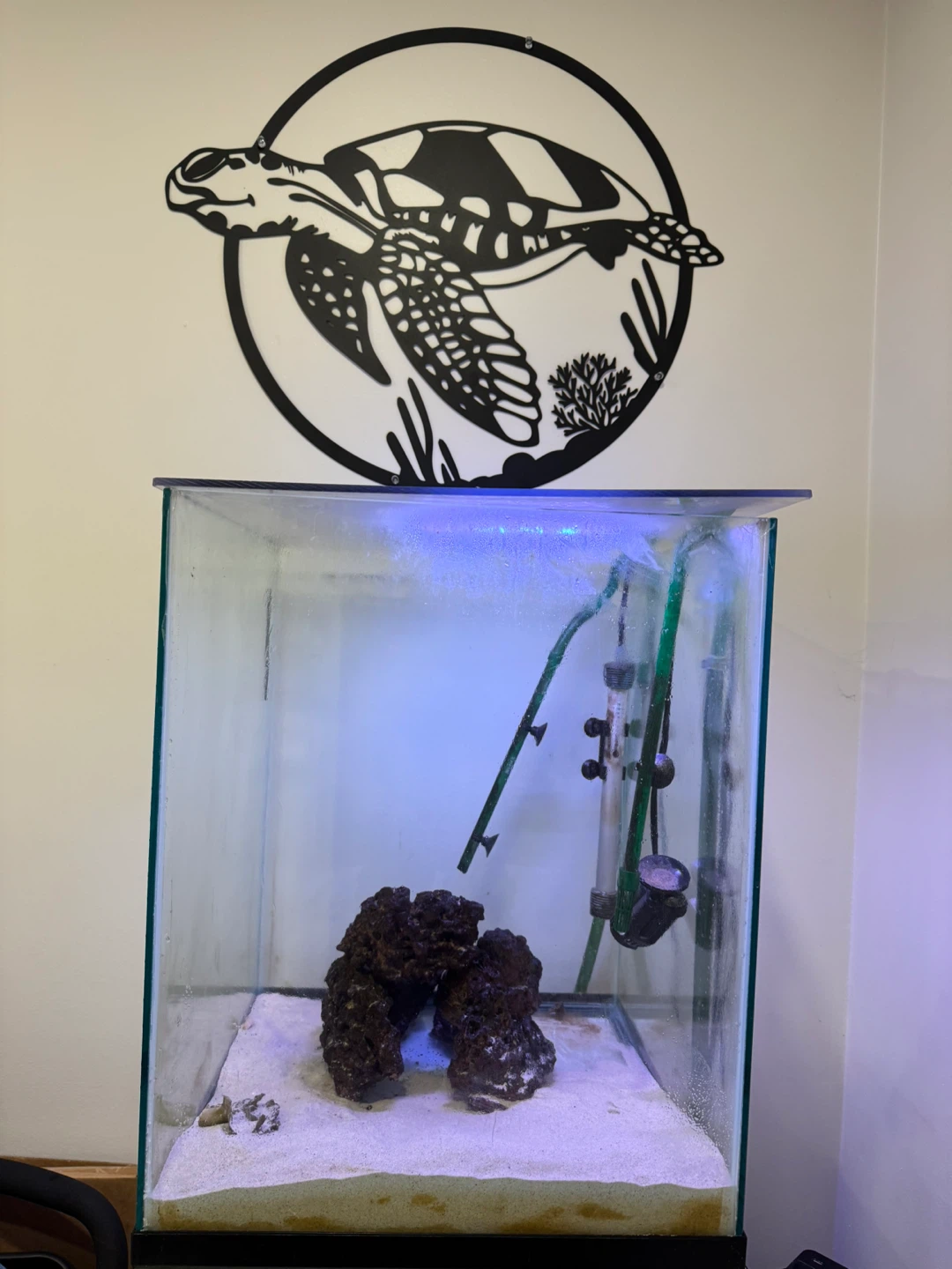 Glass Aquarium Tank with Stand 35 gallons - photo 2