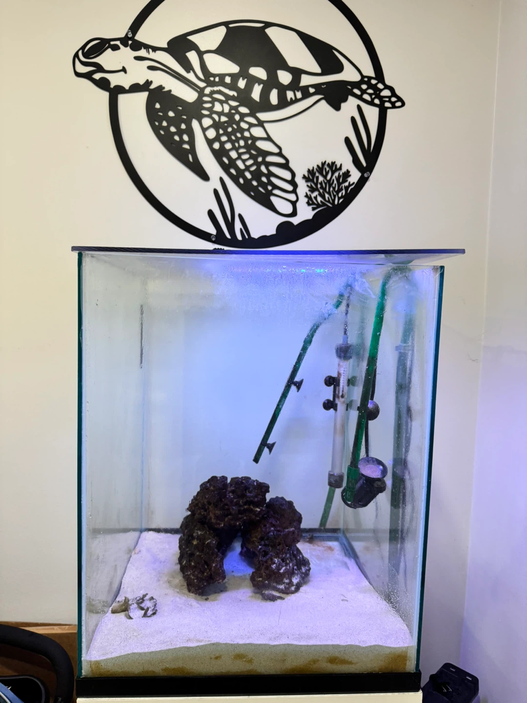 Glass Aquarium Tank with Stand 35 gallons - photo 4