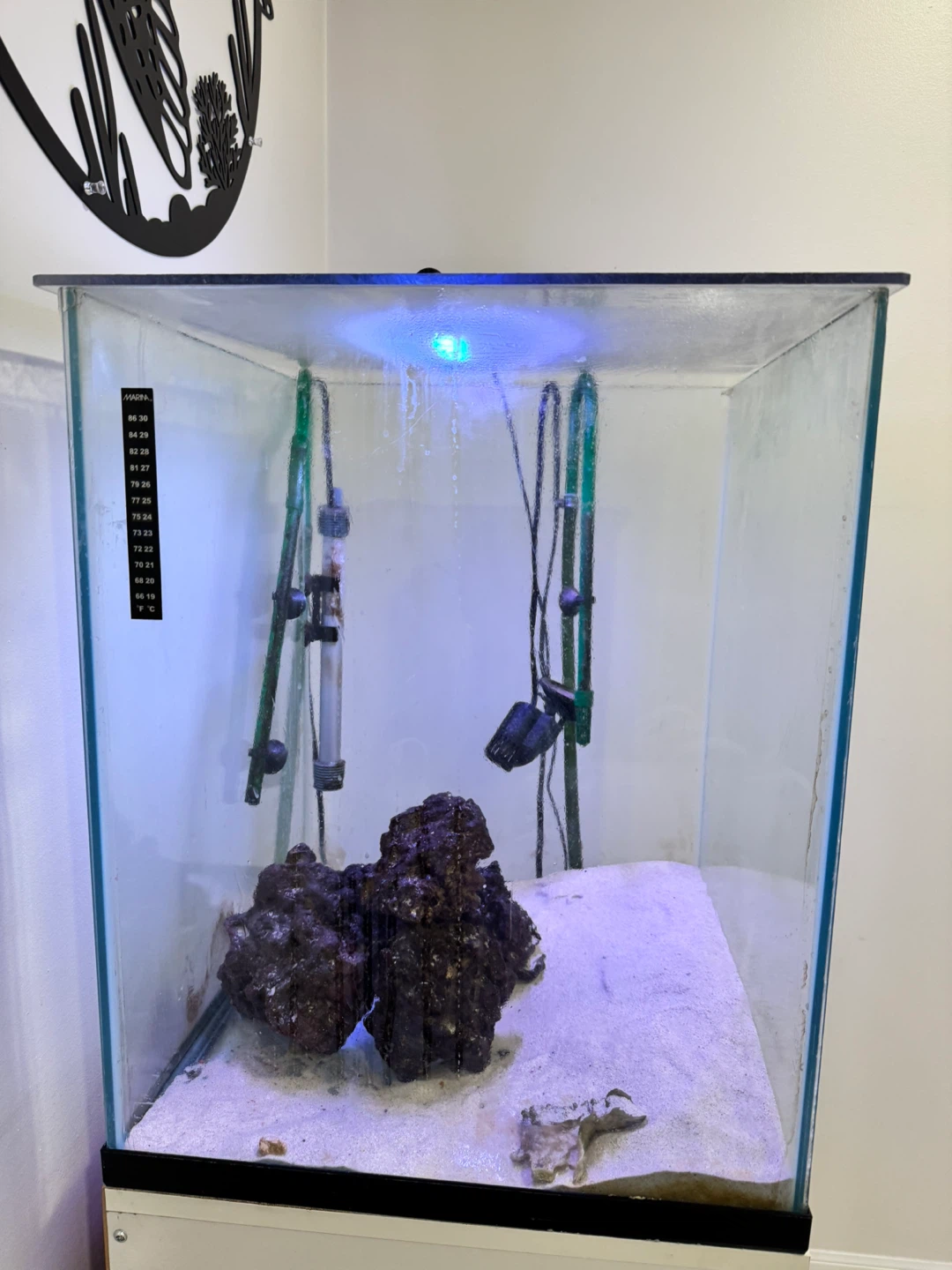 Glass Aquarium Tank with Stand 35 gallons - photo 5