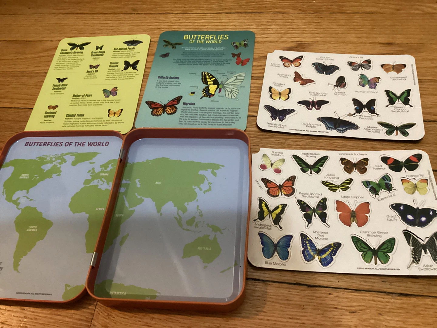 ⚽️ Butterflies of the World Magnetic Learning Activity Tin - photo 2