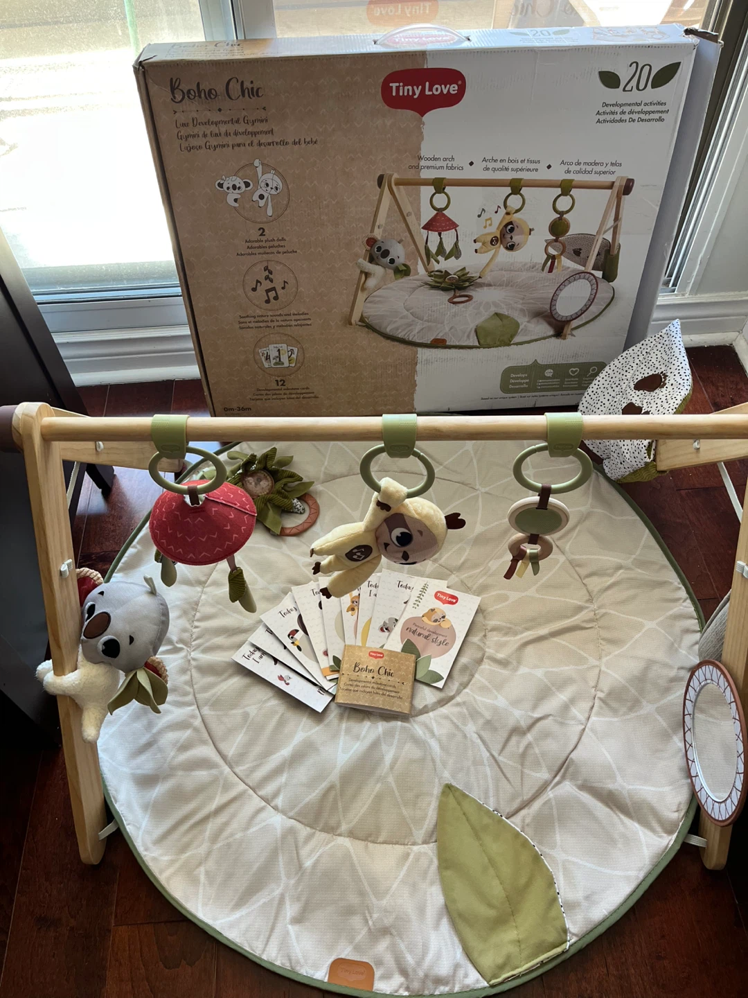 Tiny Love Baby Play Mat/Gym