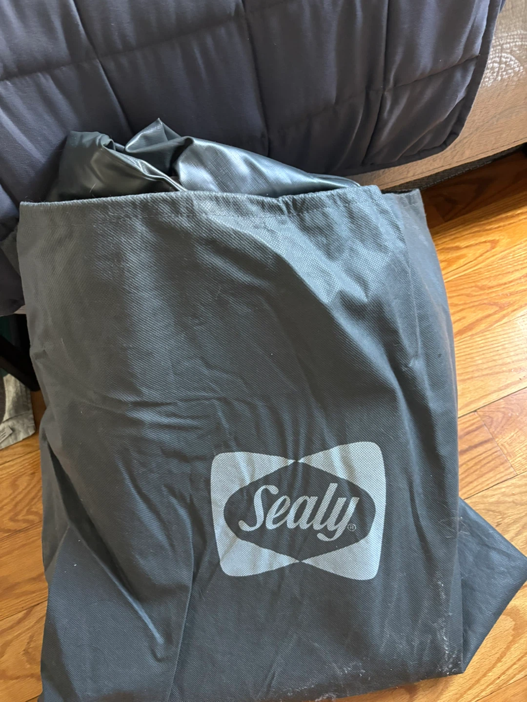 Sealy Queen Inflatable Mattress with Built-In Pump