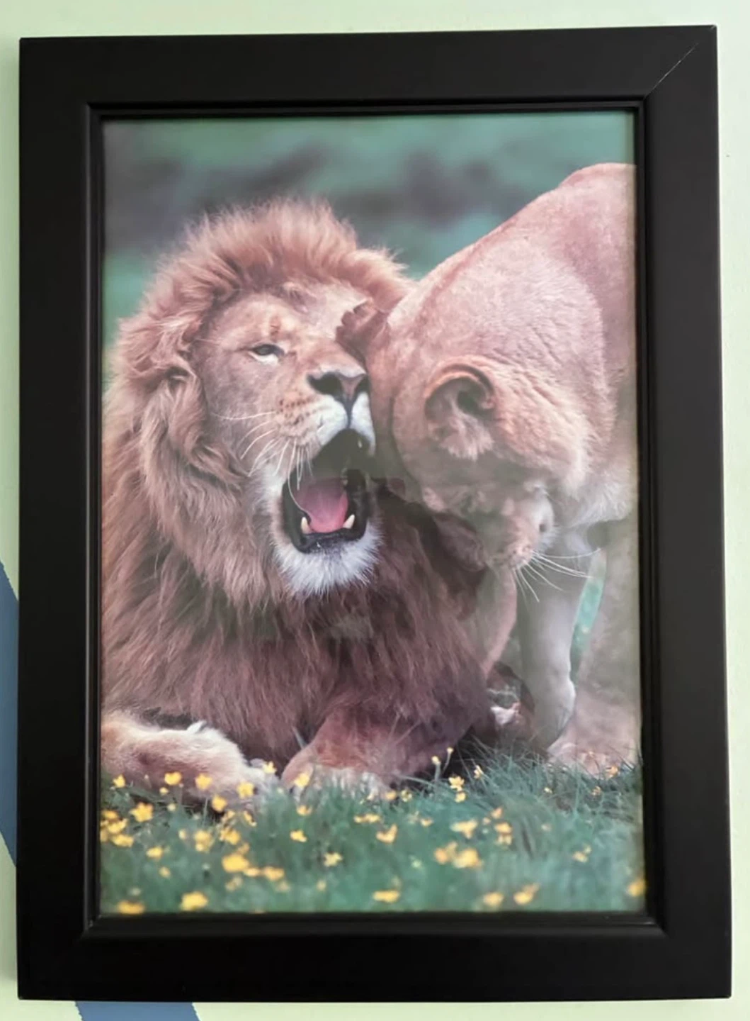 Set of 4 Framed Wild Animal Prints - photo 2