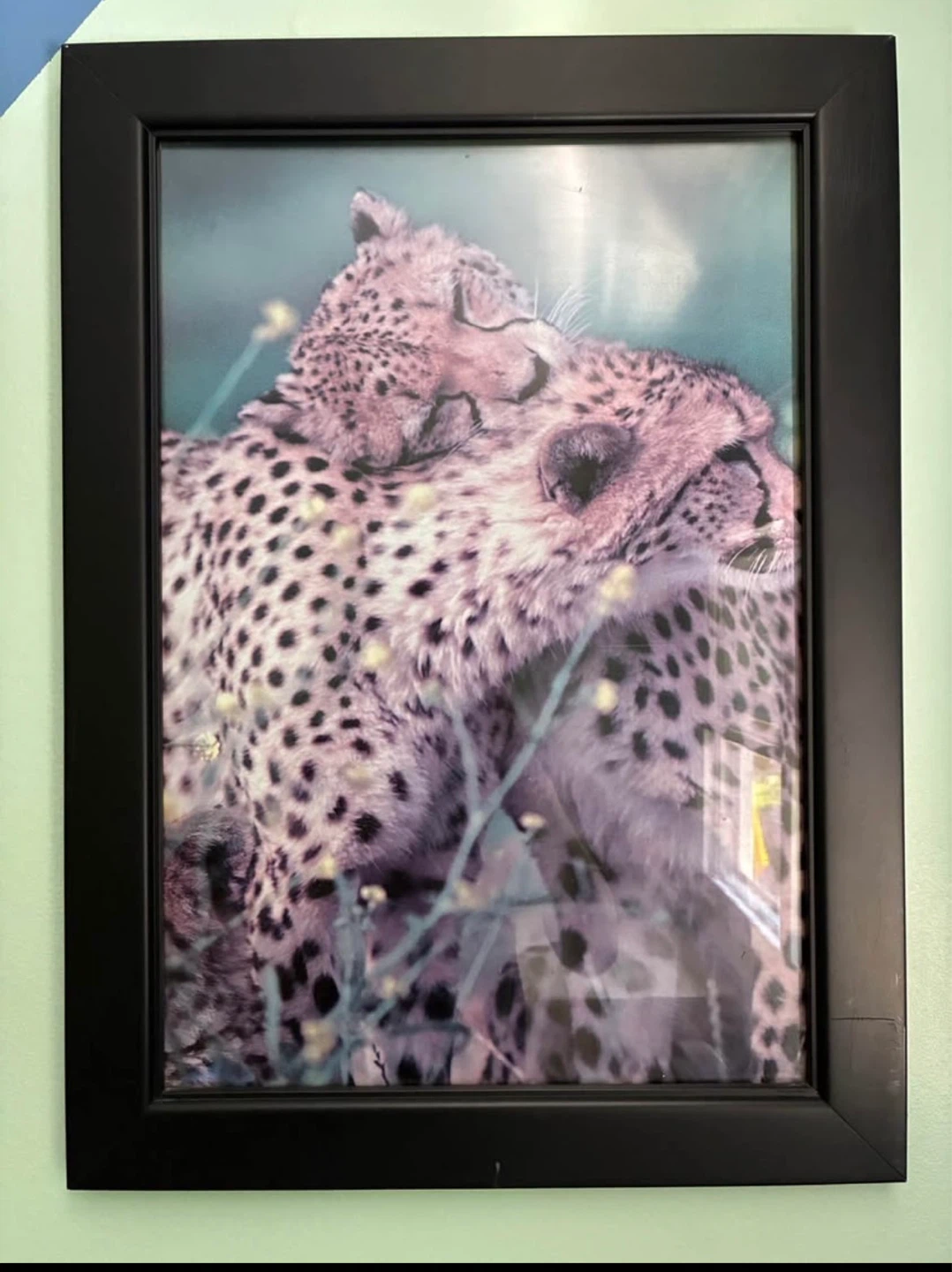 Set of 4 Framed Wild Animal Prints - photo 4