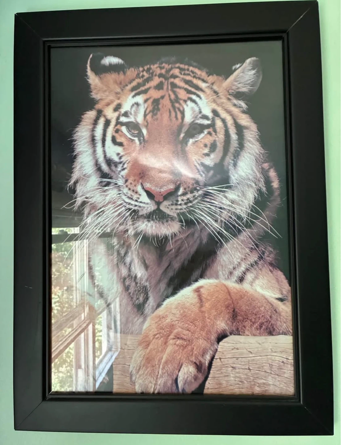 Set of 4 Framed Wild Animal Prints - photo 3