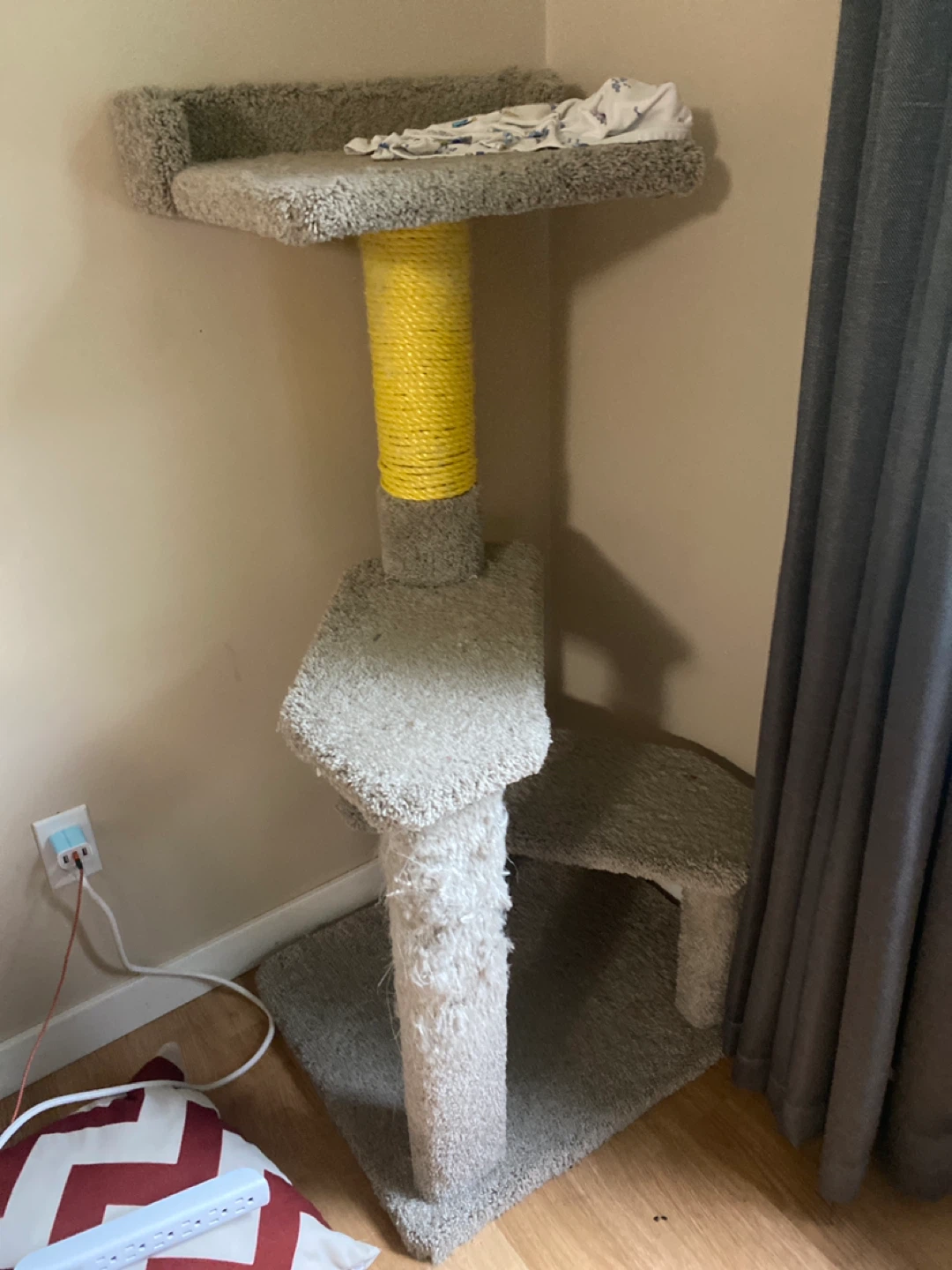 Cat post - photo 5