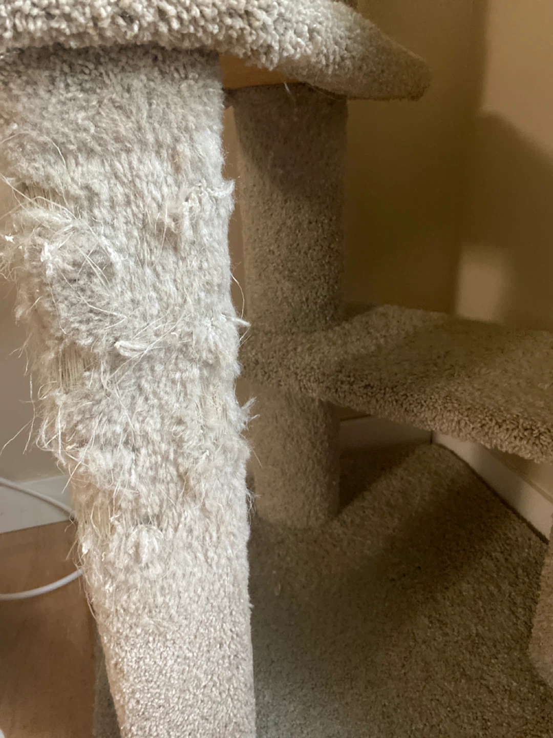 Cat post - photo 3