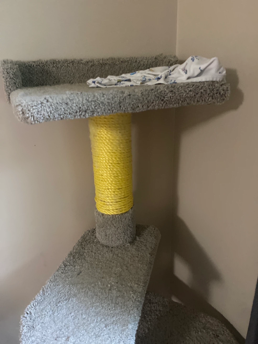 Cat post - photo 2