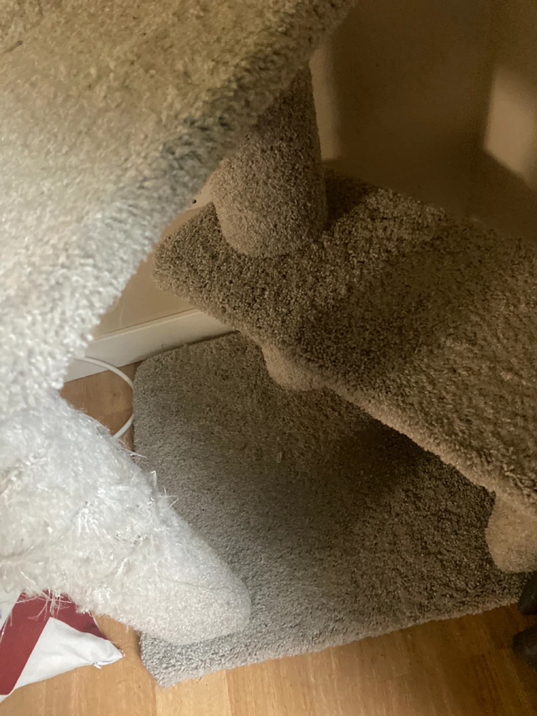 Cat post - photo 4
