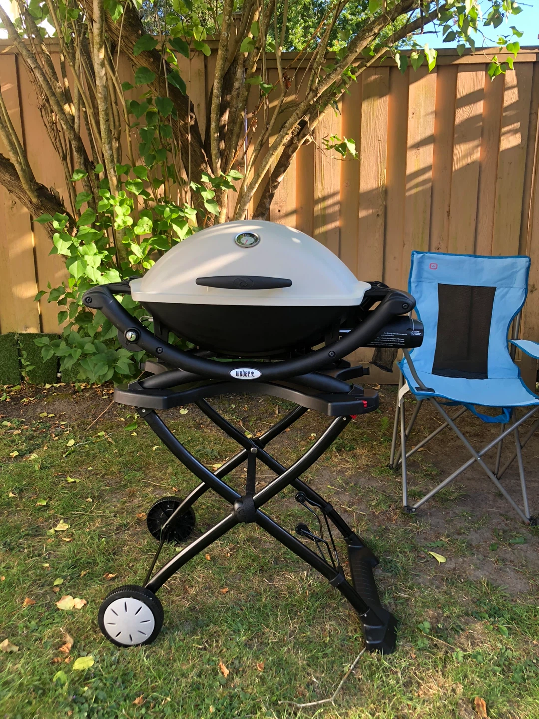 Weber Q Portable Gas Grill
