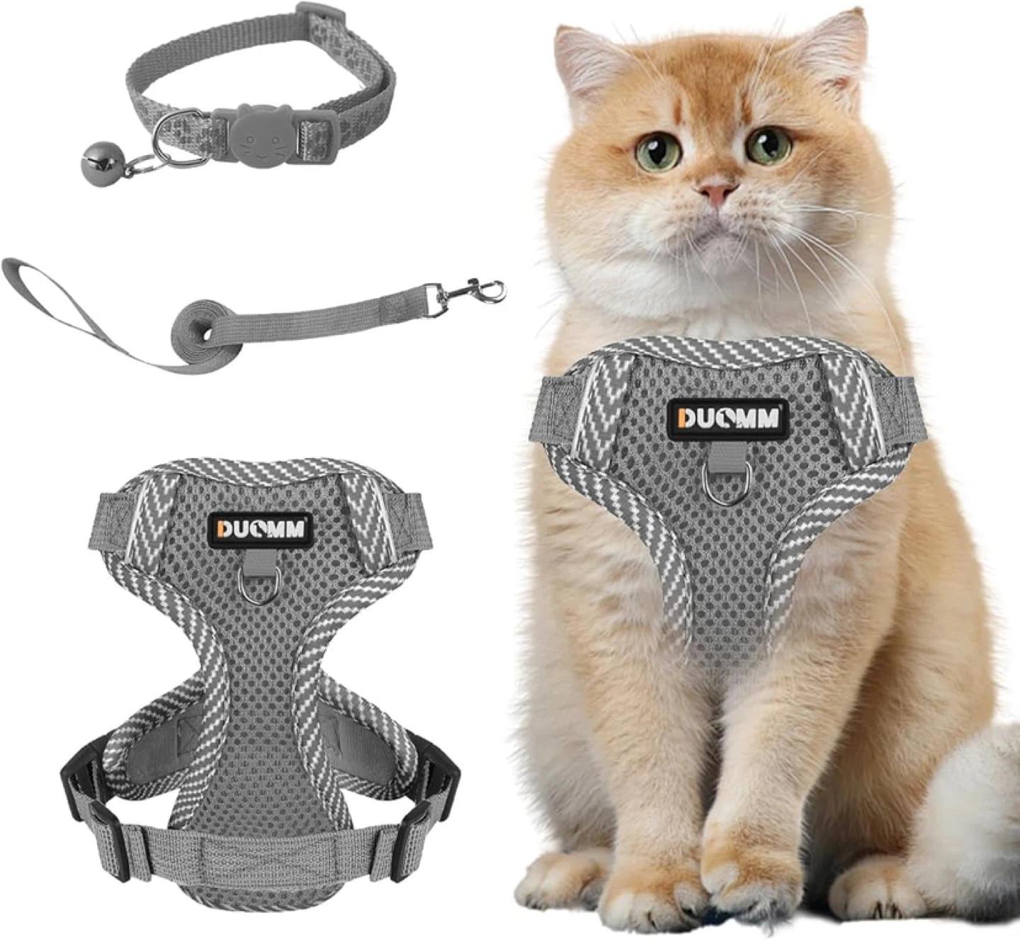Cat harness - XL