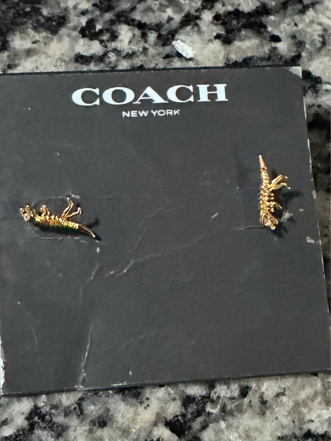 Coach Rexy Stud Earrings