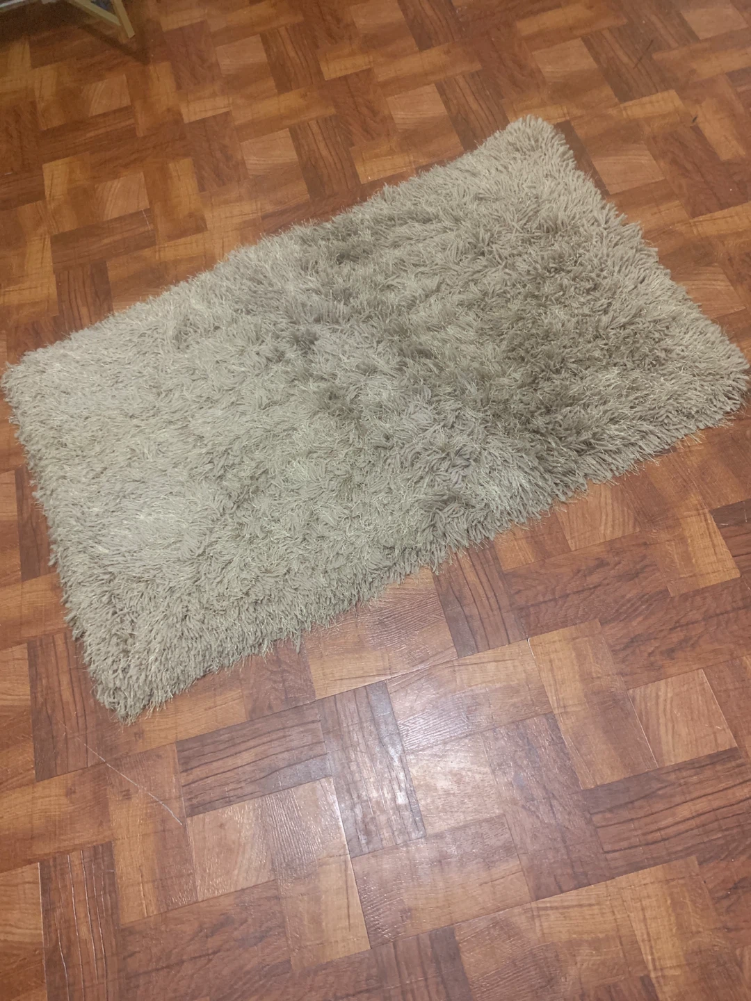Shaggy Rug