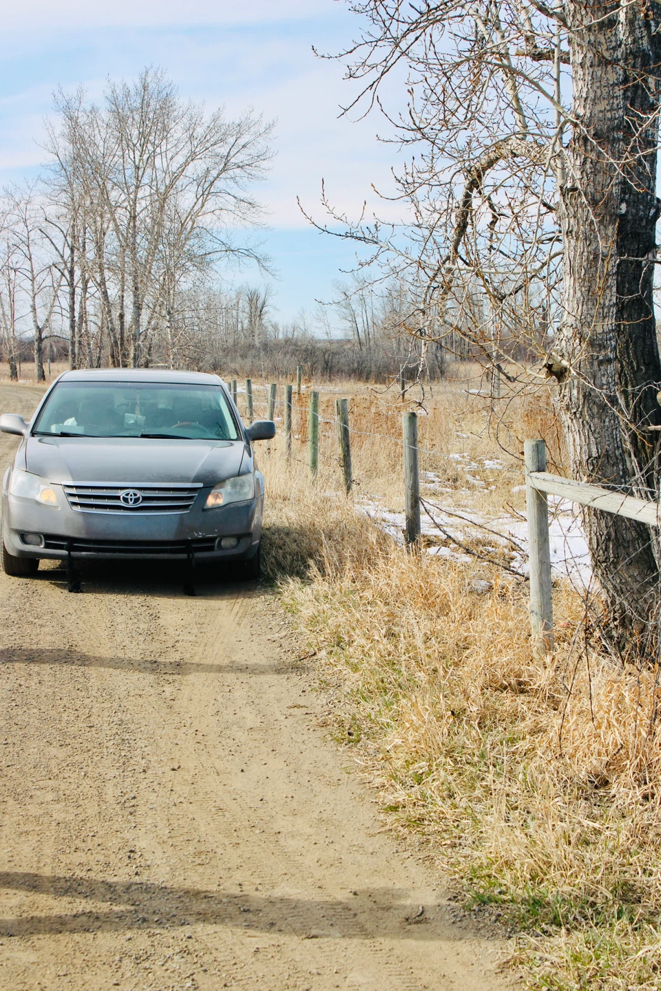 2005 Toyota Avalon