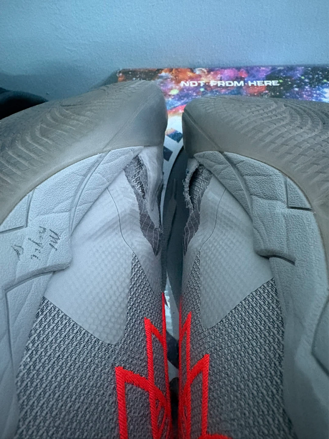 Melo M.B 01 - photo 5