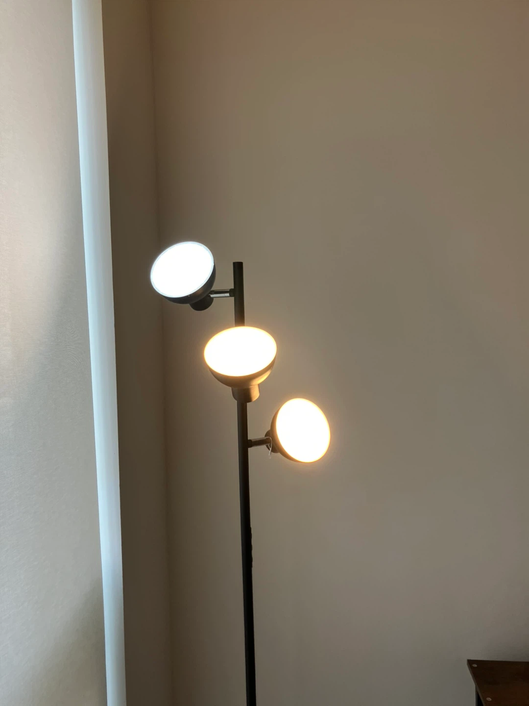 Black Floor Lamp with 3 Adjustable Spotlights