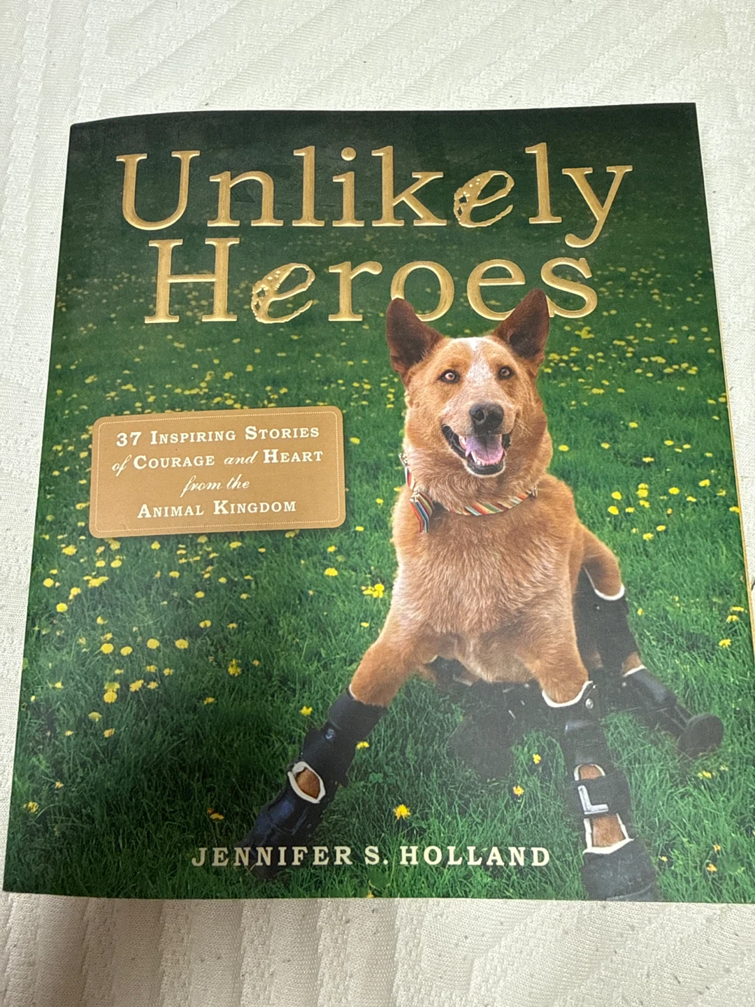 (⚽) Unlikely Heroes by Jennifer S. Holland