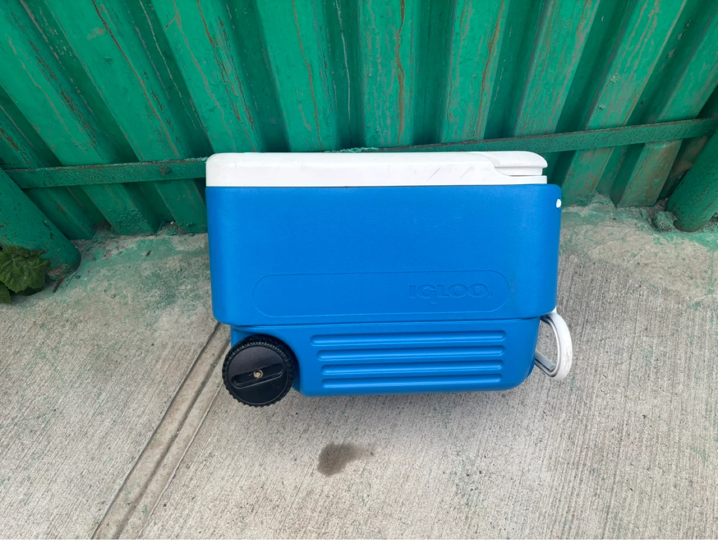 Igloo Cooler with Wheels